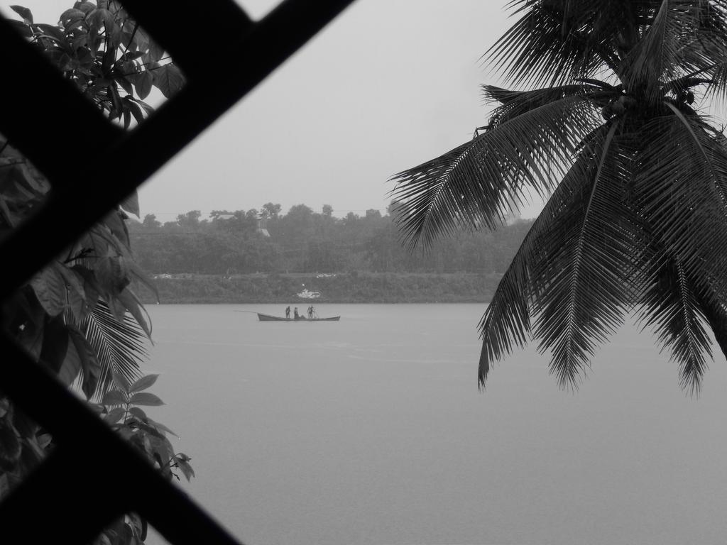Nisarga Nirvana River House Mangalore Buitenkant foto